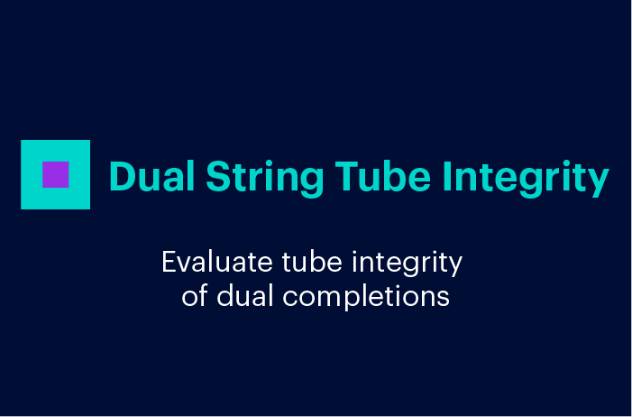 Dual String Tube Integrity