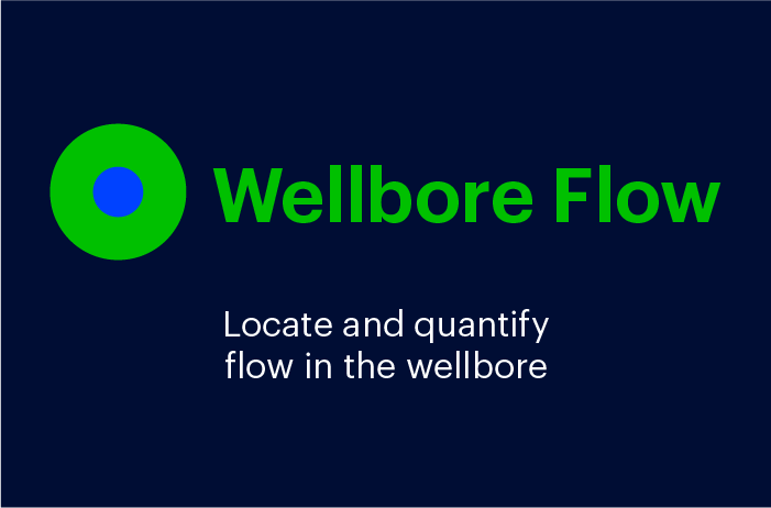 Wellbore Flow